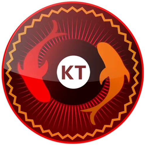 Panduan Lengkap Aplikasi koitoto untuk Pemula